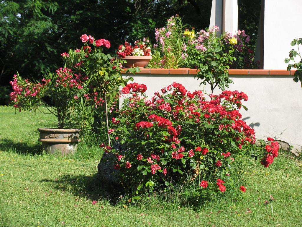 La Casa Dei Boschi Bed & Breakfast ซานมารีโน ภายนอก รูปภาพ